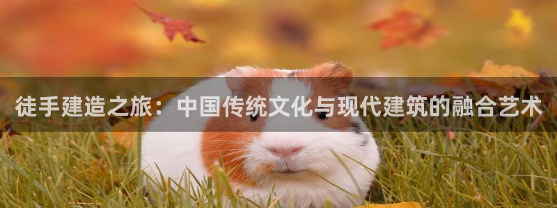 问鼎娱乐资讯官网入口：徒手建造之旅：中国传统文化与现代建筑的融合艺术