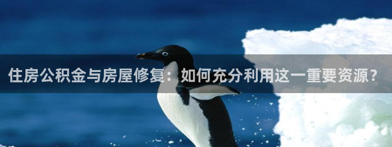 问鼎娱乐资讯官网入口：住房公积金与房屋修复：如何充分利用这一重要资源？
