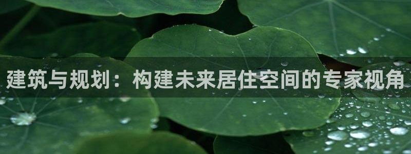 问鼎娱乐简介图片：建筑与规划：构建未来居住空间的专家视角