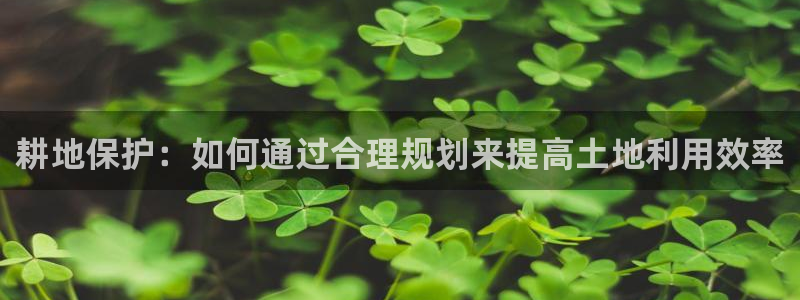 问鼎娱乐客服：耕地保护：如何通过合理规划来提高土地利用效率