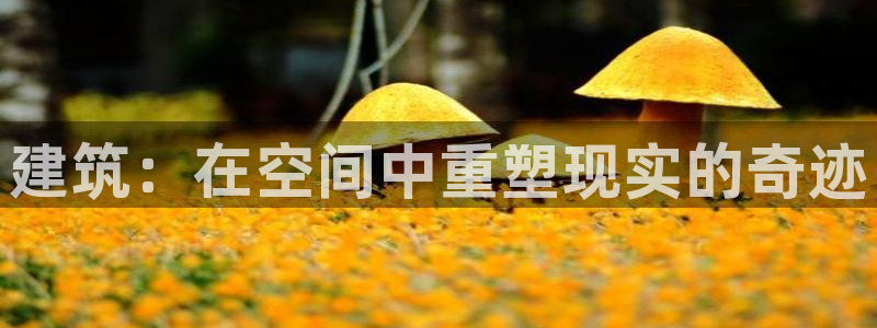 问鼎娱乐赛：建筑：在空间中重塑现实的奇迹