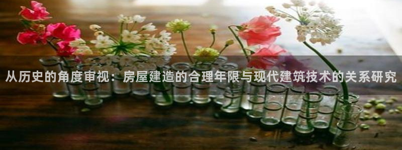 问鼎娱乐系统：从历史的角度审视：房屋建造的合理年限与现代建筑技术的关系研究