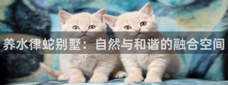 问鼎娱乐中国：养水律蛇别墅：自然与和谐的融合空间