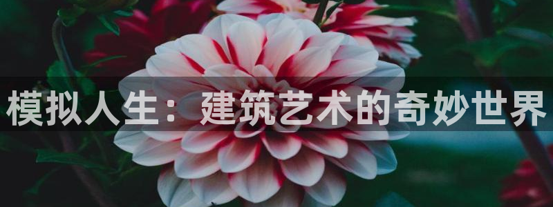 问鼎娱乐游戏软件：模拟人生：建筑艺术的奇妙世界