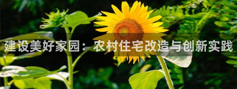 问鼎娱乐理财logo：建设美好家园：农村住宅改造与创新实践