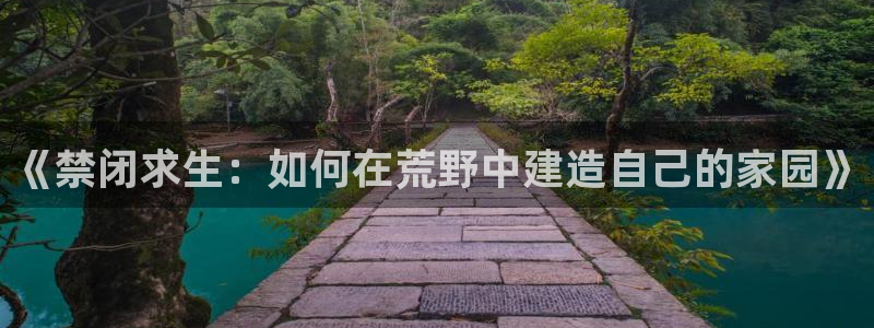 问鼎娱乐币：《禁闭求生：如何在荒野中建造自己的家园》