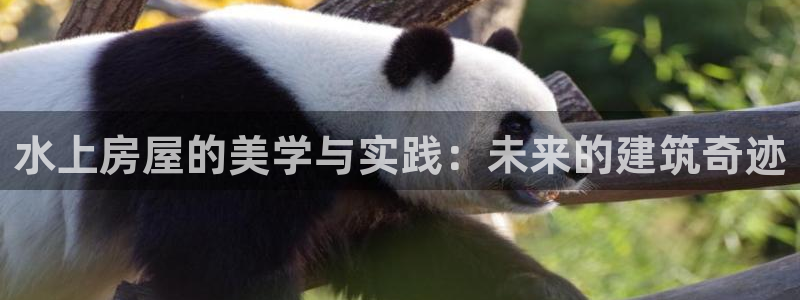 问鼎娱乐游戏大厅下载：水上房屋的美学与实践：未来的建筑奇迹