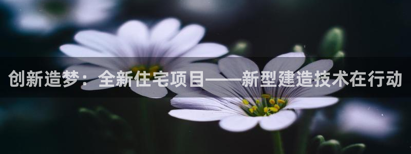 问鼎娱乐系统：创新造梦：全新住宅项目——新型建造技术在行动