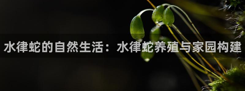 问鼎娱乐系统：水律蛇的自然生活：水律蛇养殖与家园构建