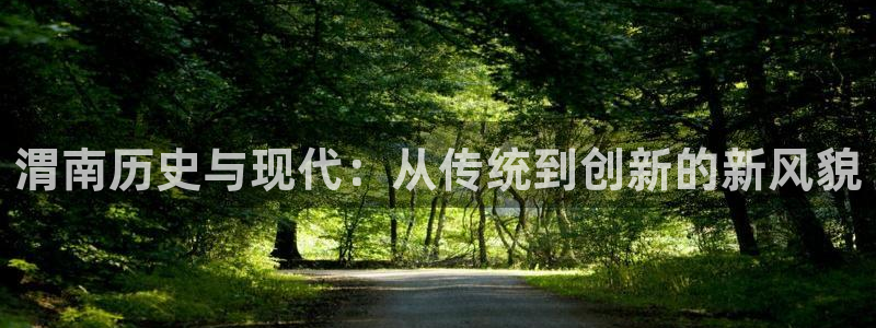 怎么下载问鼎娱乐大厅：渭南历史与现代：从传统到创新的新风貌