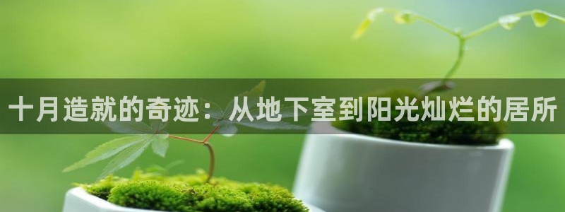 问鼎娱乐登录：十月造就的奇迹：从地下室到阳光灿烂的居所
