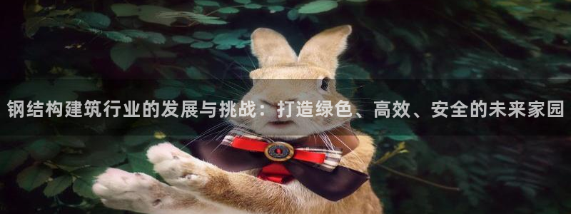 问鼎娱乐管理集团：钢结构建筑行业的发展与挑战：打造绿色、高效、安全的未来家园